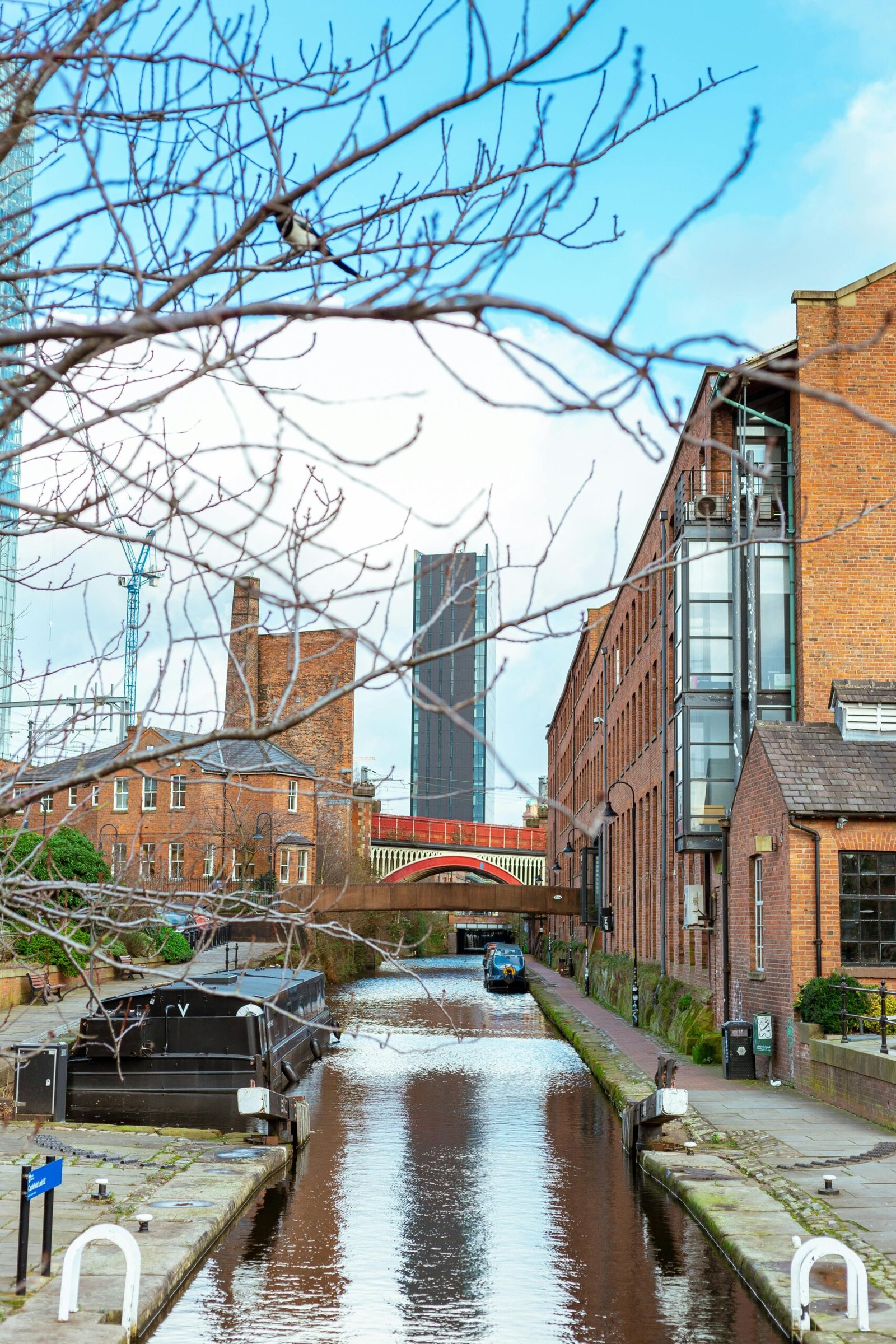 pexels arcanjosaddi 11014230